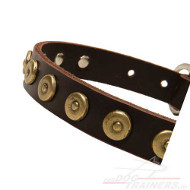 Not wide Studded Collar With Brass Doted Circles