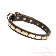 Fine Studded Collar With Plates, 1 inch Wide