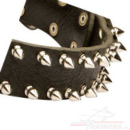 Exklusives Nieten Hundehalsband mit Spikes
bestellen