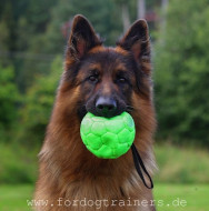 Grüner FDT Ball mit Nylon-Griff für Deutschen Schäferhund