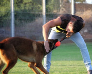 Abriebfester Hunde Ball aus synthetischem Leder für Malinois