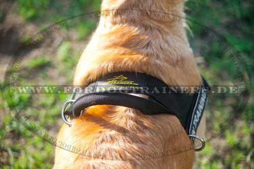 K9 Harness with Handle and Patches for Golden Retriever
