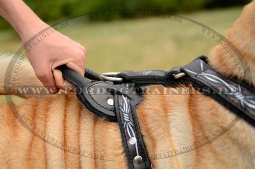 Padded Harness K9 for Shar-Pei 