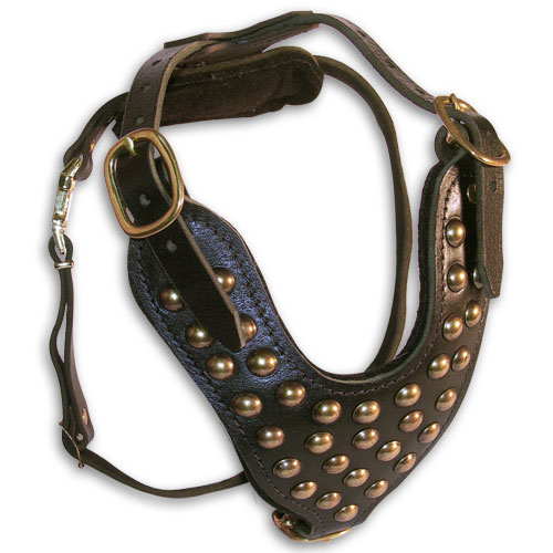 Studded Dog Harness Leather