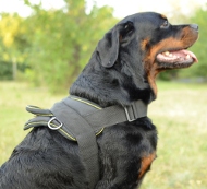 nylon geschirr rottweiler kaufen