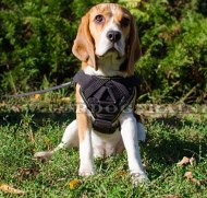 Hundegeschirr aus hochwertigem Nylonmaterial für Beagle