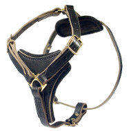 Stylish Leather Dog Harness for Rescue Mission