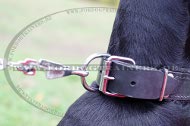 Dobermann Hundehalsband mit Filzpolsterung