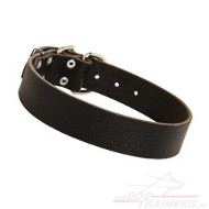 Classical Puppy and Adult Dog Collar of Leather