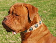 Leather dog collar with blue stones