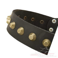 Studded Collar with Brass Pyramids exclusive from Leather
