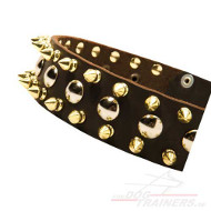 Neu Leder Halsband mit Nickel-Nieten und Messing-Spikes ❺