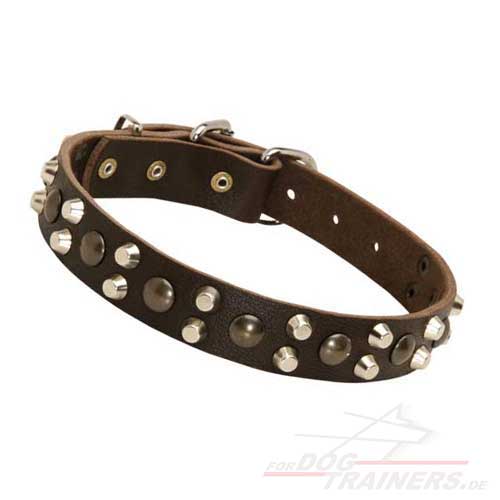 Exklusives Hunde Halsband