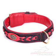 Exklusives Rotes-Schwarz Halsband aus Leder gepolstert