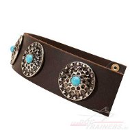 Decorated Studded Collar with Blue Stones