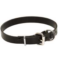 High Quality Dog Collar from the best Leather