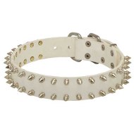 Genietetes Fordogtrainers Halsband Leder weiß Genietetes Fordogtrainers Halsband Leder weiß