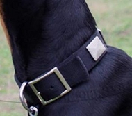 Rottweiler Nylon collar with plates