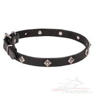 Exclusive Studded Leather Dog Collar