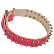 /images/Hundehalsband-Rosa-mit-Spikes-fuer-Hunde-Auslauf.jpg