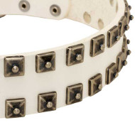 Elegantes Hundehalsband Weiß Genietet Elegantes Hundehalsband Weiß Genietet
