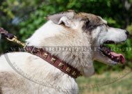 Laika Leather Collar | Dog Collar with Golden Small Squares