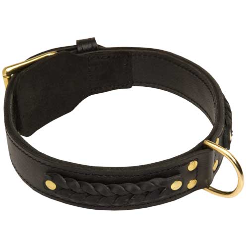 Rottweiler dog collar leather black
