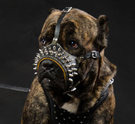 Hundemaulkorb Leder für Cane Corso, Designer Leder-Beißkorb