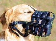 Buy labrador muzzle