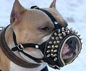 Studded Dog Muzzle of Leather for Pitbull