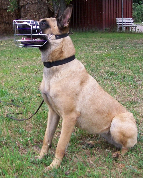 Malinois Padded Cage Muzzle