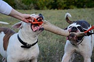 Dog Bite Tug of Jute for Bulldog with Two Handles, Large