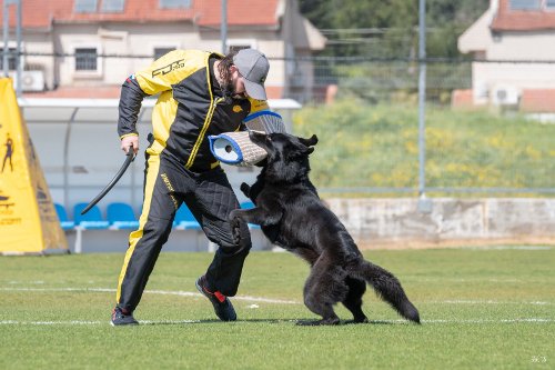 Holzhuerde Mondioring Malinois 