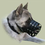 Leichter Hundemaulkorb aus Leder mit super Luftzirkulation - zum Schließen ins Bild klicken