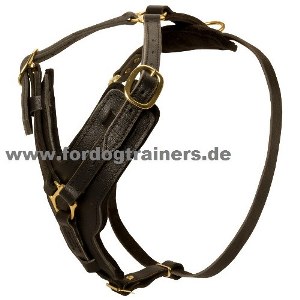 K9 Ledergeschirr kaufen