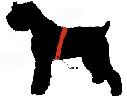 Dog harness Size