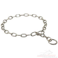 Chain Collar for Daily Life from Fordogtrainers buy