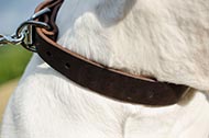 American Bulldog classic Leather Dog Collar