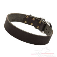 High Quality Leather Dog Collar, 30 mm Wide