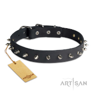 Leather Dog Collar with brass Studs from FDT Artisan