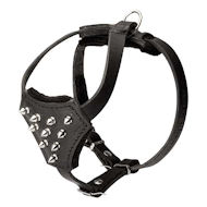 Dog Harness with Spikes for Small Dogs| Harness for Puppies