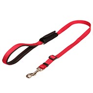 Red Dog Leash of Nylon Safe-&-Sound