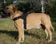 Labrador Dog Nylon Harness K9