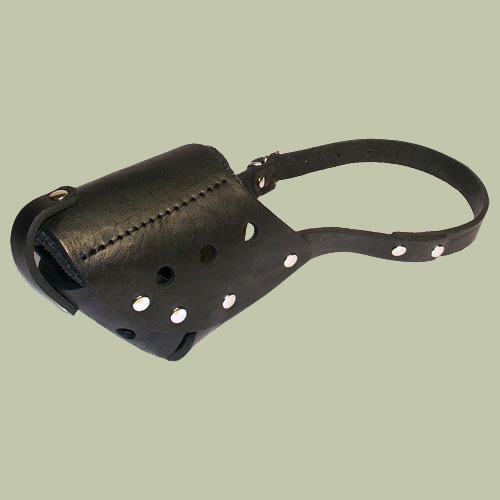 Leather muzzle, Malinois