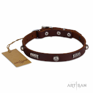 Lederhundehalsband mit Kugeln und Platten Ziernieten im Barock Design