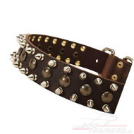 Bestseller Neues Hundehalsband Leder mit Spikes und Nieten