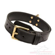 Robust Leather Collar 2 ply for Dog Training proposed