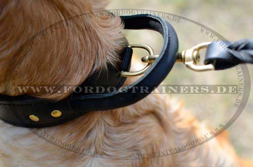 Retriever leather agitation collar with leather handle