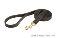 Handmade Leather dog leash stitched