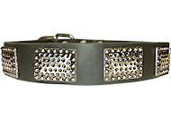 Leather Dog Collar with Vintage Plates exclusive